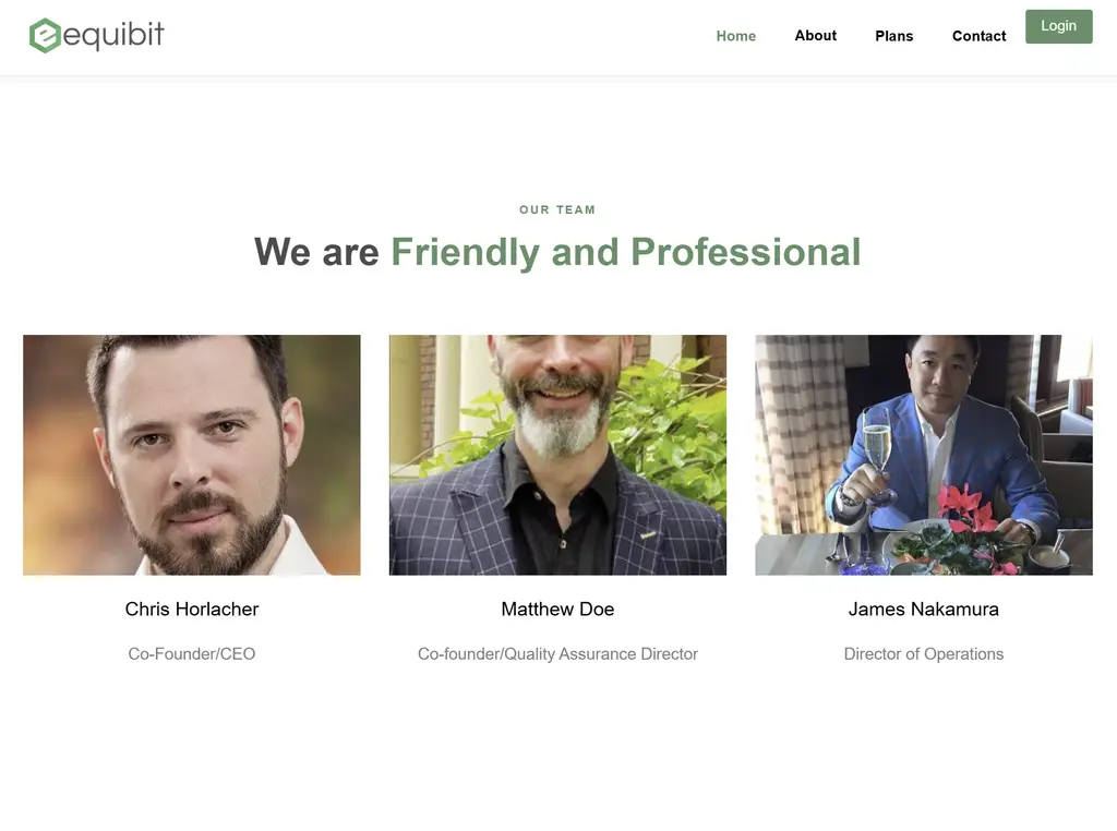 Web page headed "We are Friendly and Professional" with staff photos, documented as an alleged impersonation site
